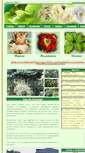 Mobile Screenshot of flower1.ru