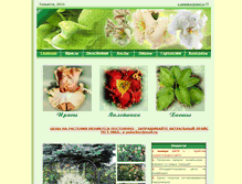 Tablet Screenshot of flower1.ru